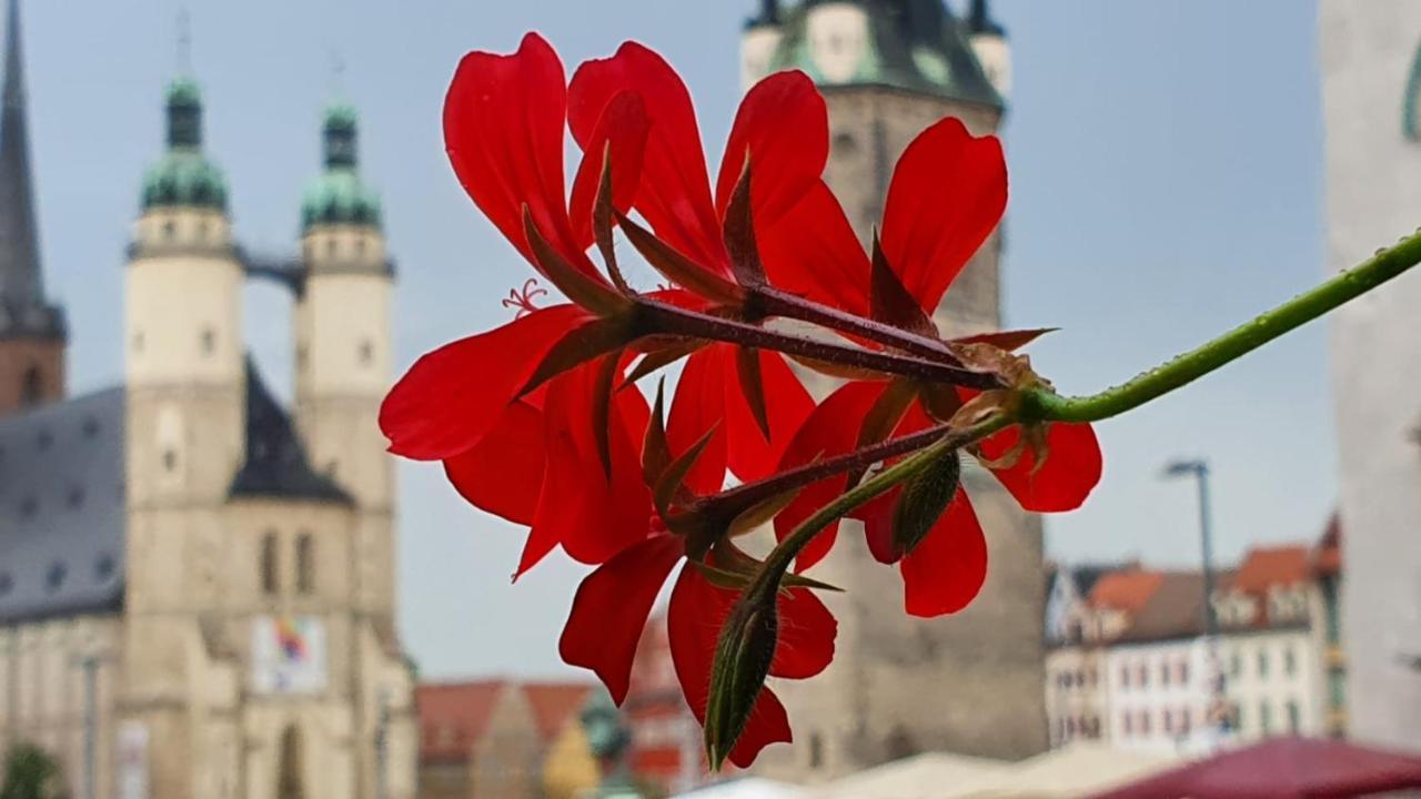 Budget Rooms In Halle With Shared Bathroom, Free Wifi, Netflix & Ipad 외부 사진